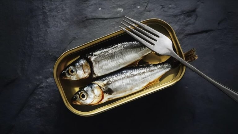 Sardines conservees en boite