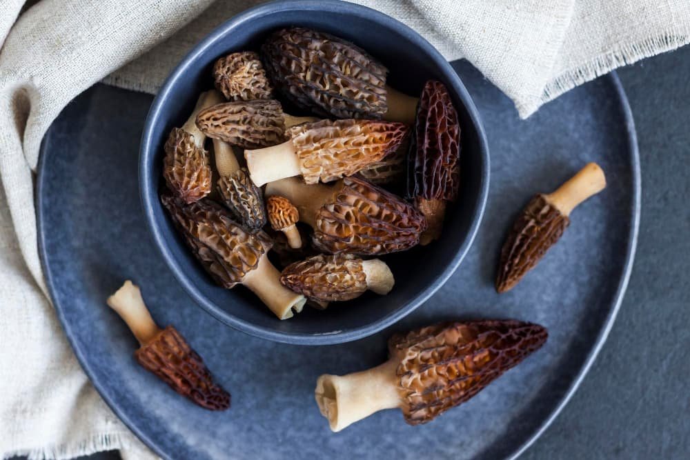 Morilles dans un bol bleu